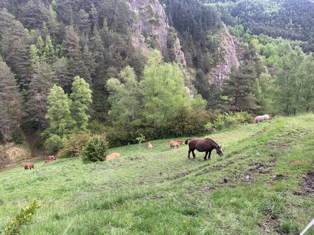 Siscaro - Peu Del Riu 310 - Vall D'Incles - Soldeu Apartman Kültér fotó