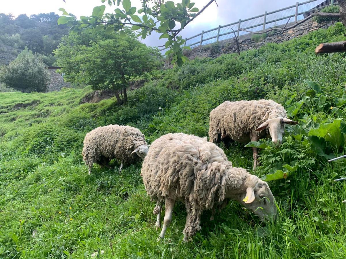 Siscaro - Peu Del Riu 310 - Vall D'Incles - Soldeu Apartman Kültér fotó